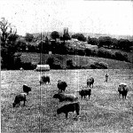 Stoke Climsland from Home Farm in 1936. Stoke Climsland from Home Farm in 1936.