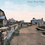 Minions Village Minions Village