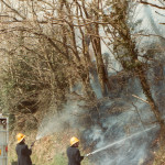 Hedge Fire on the A388 at Treburley, 1983. Photo courtesy of Gary Chapman. Hedge Fire on the A388 at Treburley, 1983. Photo courtesy of Gary Chapman.