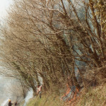 Hedge Fire on the A388 at Treburley, 1983. Photo courtesy of Gary Chapman. Hedge Fire on the A388 at Treburley, 1983. Photo courtesy of Gary Chapman.