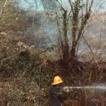 Hedge Fire on the A388 at Treburley, 1983. Photo courtesy of Gary Chapman. Hedge Fire on the A388 at Treburley, 1983. Photo courtesy of Gary Chapman.