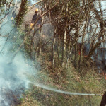 Hedge Fire on the A388 at Treburley, 1983. Photo courtesy of Gary Chapman. Hedge Fire on the A388 at Treburley, 1983. Photo courtesy of Gary Chapman.