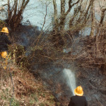 Hedge Fire on the A388 at Treburley, 1983. Photo courtesy of Gary Chapman. Hedge Fire on the A388 at Treburley, 1983. Photo courtesy of Gary Chapman.