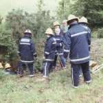 Cow Rescue, June 19th, 1993. Photo courtesy of Gary Chapman. Cow Rescue, June 19th, 1993. Photo courtesy of Gary Chapman.