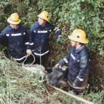 Cow Rescue, June 19th, 1993. Photo courtesy of Gary Chapman. Cow Rescue, June 19th, 1993. Photo courtesy of Gary Chapman.