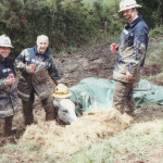 Cow Rescue, June 19th, 1993. Photo courtesy of Gary Chapman. Cow Rescue, June 19th, 1993. Photo courtesy of Gary Chapman.