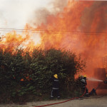 Pallet Fire, September 6th, 1993. Photo courtesy of Gary Chapman. Pallet Fire, September 6th, 1993. Photo courtesy of Gary Chapman.