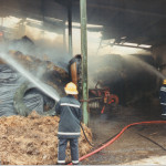 Shed Fire at Neathwood Farm, Broadwood, August 20th, 1994. Photo courtesy of Gary Chapman. Shed Fire at Neathwood Farm, Broadwood, August 20th, 1994. Photo courtesy of Gary Chapman.