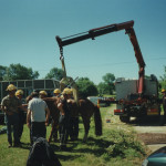 Horse Rescue at Polson, 2001. Horse Rescue at Polson, 2001.