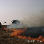 Gorse Fire, March 29th, 2002. Photo courtesy of Gary Chapman. Gorse Fire, March 29th, 2002. Photo courtesy of Gary Chapman.