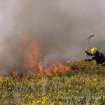 Gorse Fire, March 29th, 2002. Photo courtesy of Gary Chapman. Gorse Fire, March 29th, 2002. Photo courtesy of Gary Chapman.