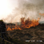 Gorse Fire, March 29th, 2002. Photo courtesy of Gary Chapman. Gorse Fire, March 29th, 2002. Photo courtesy of Gary Chapman.