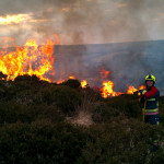 Bowithick Gorse Fire March 25th, 2011. Bowithick Gorse Fire March 25th, 2011.