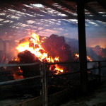 Honiton Farm, South Petherwin, Fertilizer Fire, August 25th, 2012 Honiton Farm, South Petherwin, Fertilizer Fire, August 25th, 2012