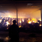 Honiton Farm, South Petherwin, Fertilizer Fire, August 25th, 2012 Honiton Farm, South Petherwin, Fertilizer Fire, August 25th, 2012