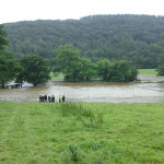 Rescuing cattle in floods July 17th, 2009. Rescuing cattle in floods July 17th, 2009.