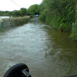 Rescuing cattle in floods July 17th, 2009. Rescuing cattle in floods July 17th, 2009.